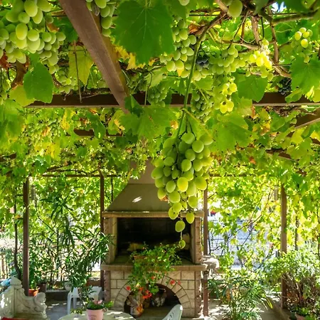 Διαμέρισμα Vanessa Ριέκα