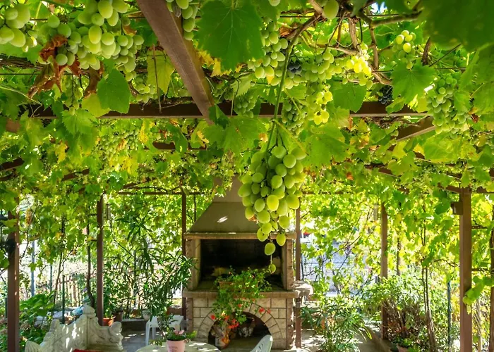 アパート Vanessa リエカ